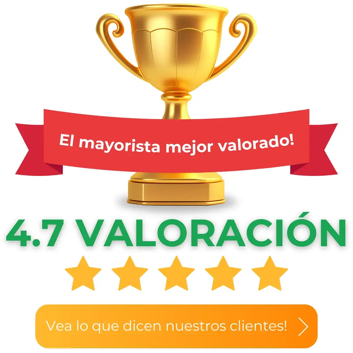 Miami Lots Testimonios